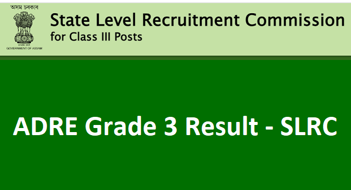 ARDE Grade 3 Result 2024