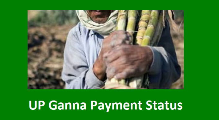 UP Ganna Payment Status 2024